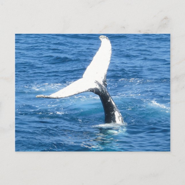 Crea tu propia tarjeta postal de fotos (Anverso)