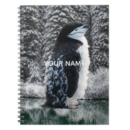 Crea tu propio cuaderno de fotos de personajes ant