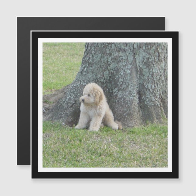 Crea tu propio imán de fotos en blanco y negro (Anverso/Reverso)