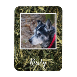 Crea tu propio imán de fotos mascota