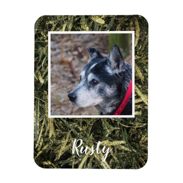 Crea tu propio imán de fotos mascota (Vertical)