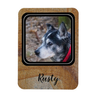 Crea tu propio imán de fotos mascota