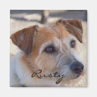 Crea tu propio imán fotográfico