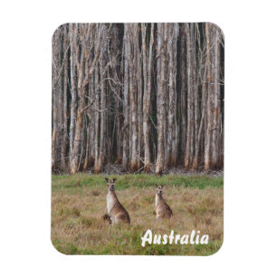 Crea tu propio imán fotográfico