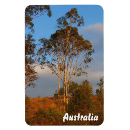 Crea tu propio imán fotográfico