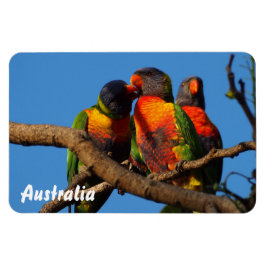 Crea tu propio imán fotográfico