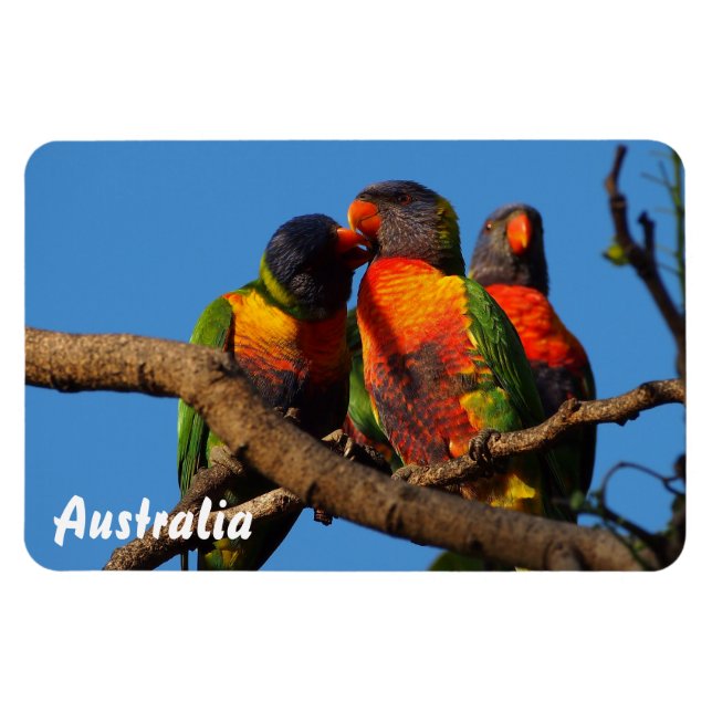 Crea tu propio imán fotográfico (Horizontal)