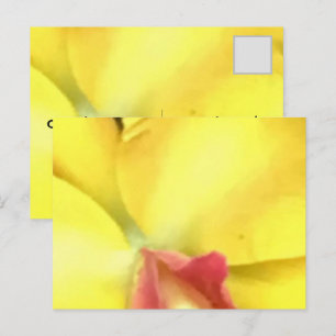 CREA TUS PROPIAS TARJETAS POSTALES