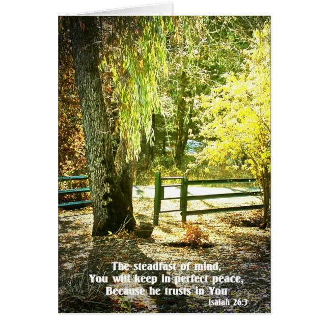 Creaciones de biblia cristiana contra escritura (Frente)