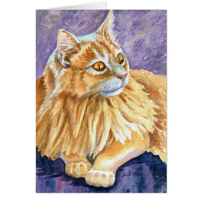 Cream Angora Cat (Frente)