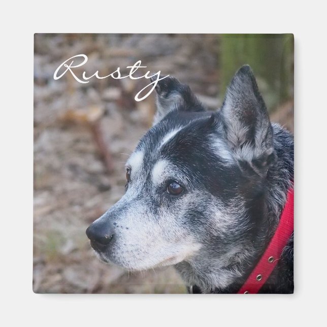 Crear su propio imán mascota (Frente)