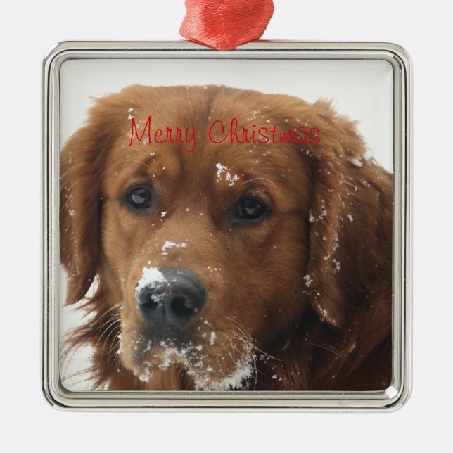 Crear su propio ornamento de Navidad Mascota (Frente)