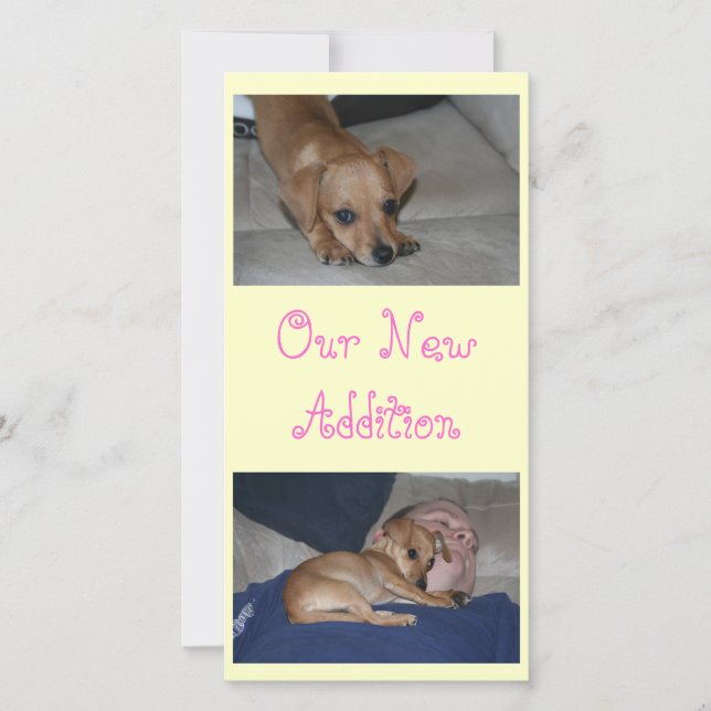 Crear sus propias tarjetas de fotos (Anverso)