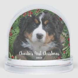 Create your Dog's First Christmas photo