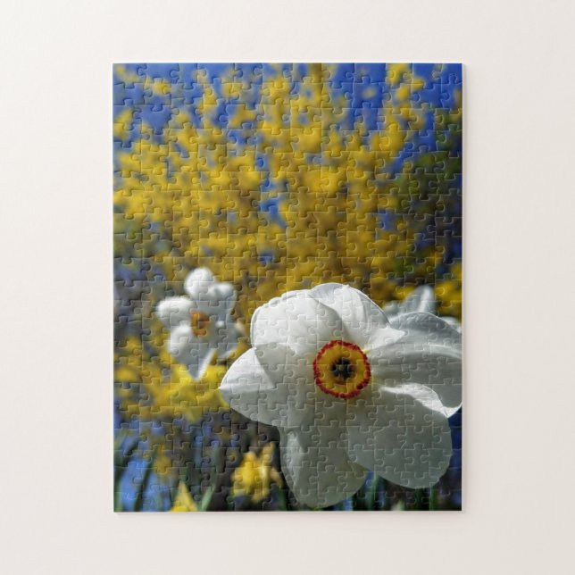 Creativa foto en blanco para daffodil rompecabezas (Vertical)