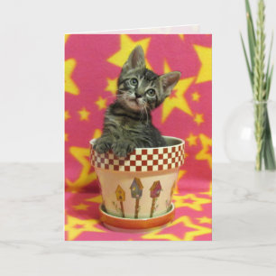 Creciente tarjeta de cumpleaños de Tabby