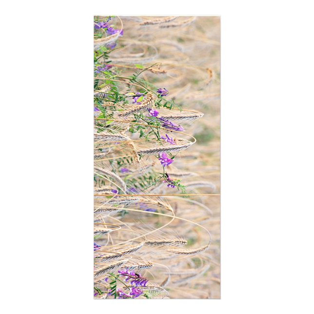 Creciente tarjeta de rack de grano (Frente)