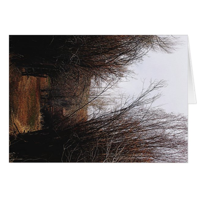 Crecimiento excesivo de la Bannack (Anverso (Horizontal))