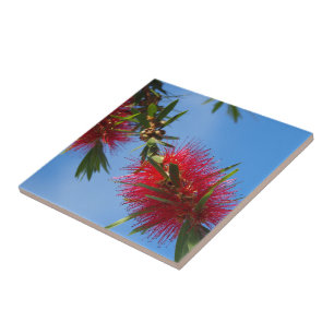 Cree su propia teja cuadrada - bottlebrush