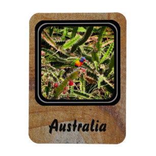 Cree su propio imán de la foto del viaje