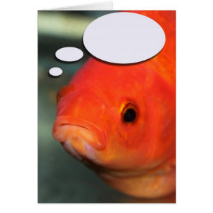 Cree su propio subtítulo, Goldfish