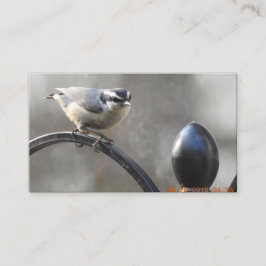 Cree sus propias tarjetas de visita para