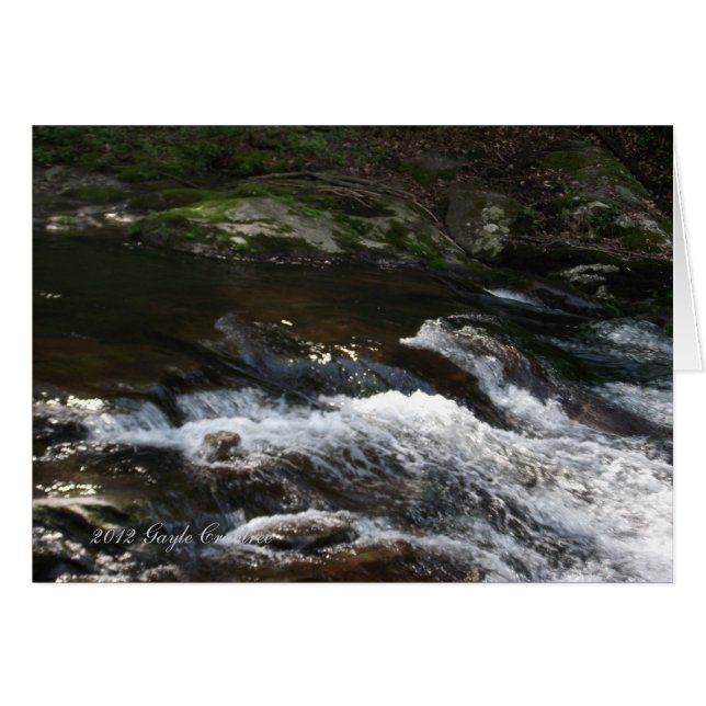 Creek de montaña appalache (Anverso (Horizontal))