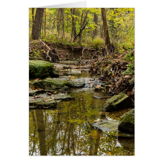 Creek de North Wears (Frente)