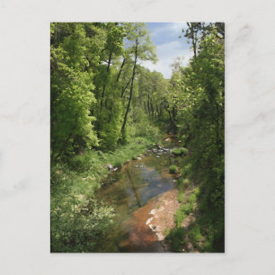 Creek de roble 1 postal