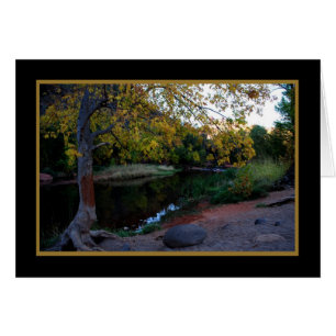 Creek de roble 246