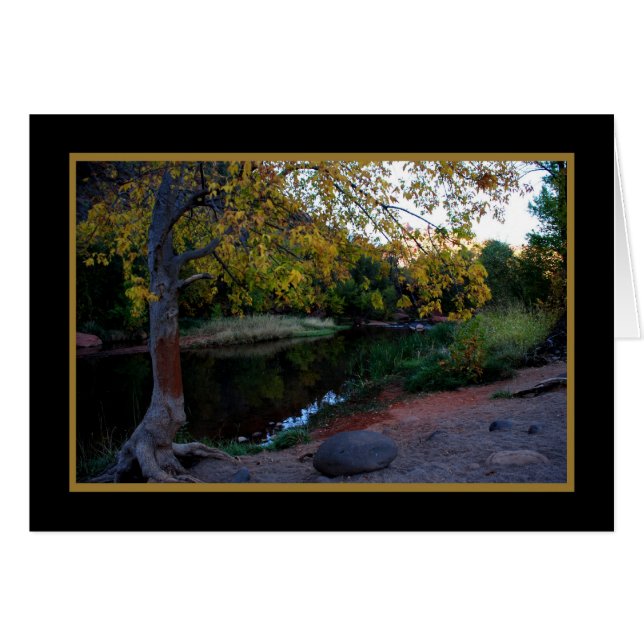 Creek de roble 246 (Anverso (Horizontal))