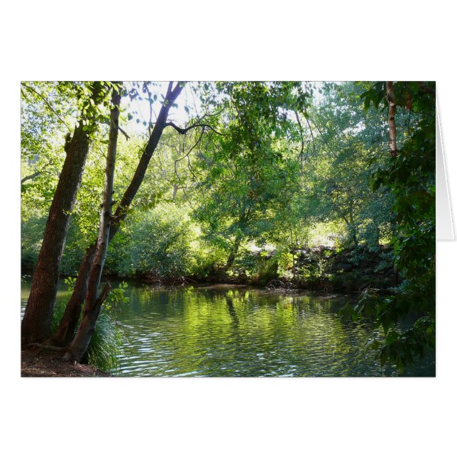Creek de roble I en Sedona Arizona (Anverso (Horizontal))
