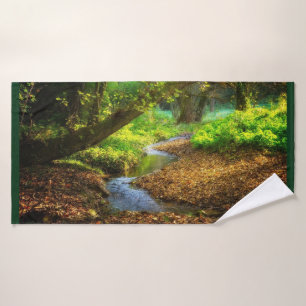Creek forestal Hermoso paisaje natural Foto