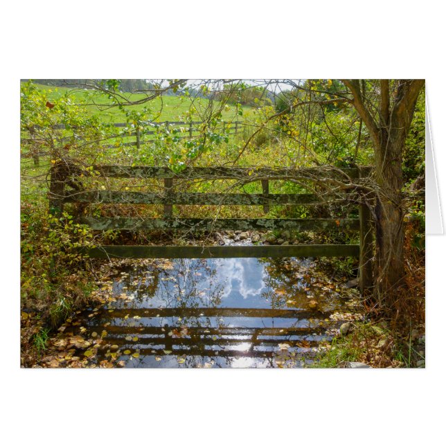 Creek oculto (Anverso (Horizontal))