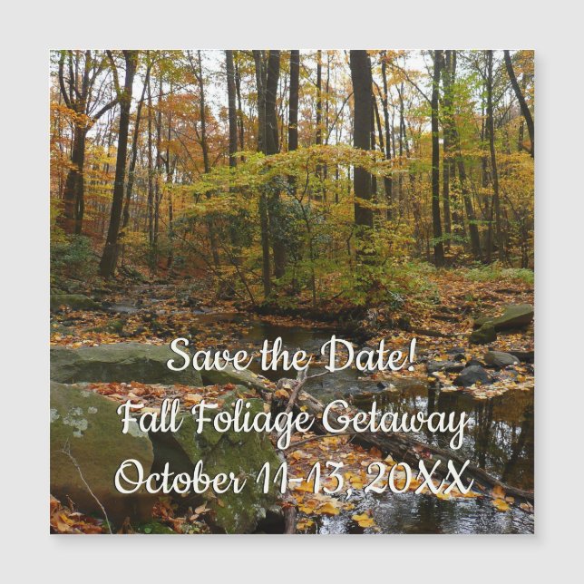 Creek otoñal con reflexión en Laurel Hill Park (Anverso)