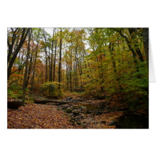 Creek otoñal en el Parque Estatal Laurel Hill en P