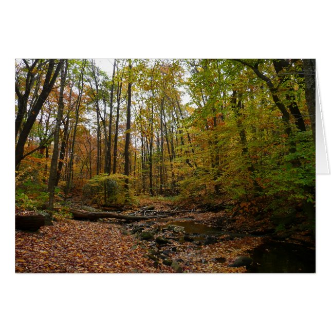 Creek otoñal en el Parque Estatal Laurel Hill en P (Anverso (Horizontal))