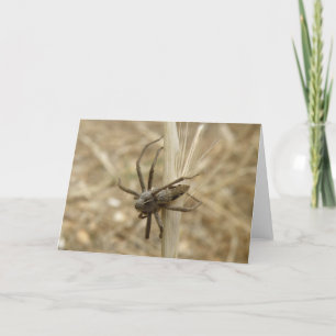 Creepy Tarjeta de felicitación Crawly Spider