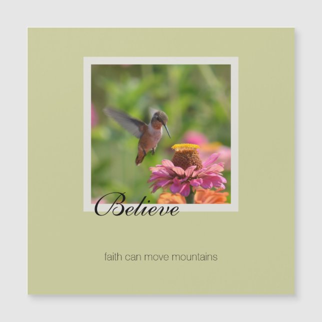 Creer Hummingbird Flor rosa de zinnia (Anverso)