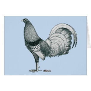 Crela Gamecock o Dom