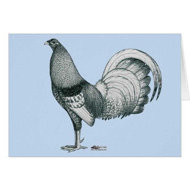 Crela Gamecock o Dom (Anverso (Horizontal))