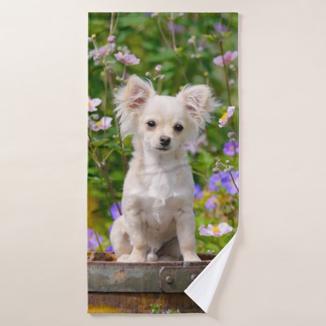 Crema de pelo largo chihuahua Perro cachorro Masco (Toalla de baño)