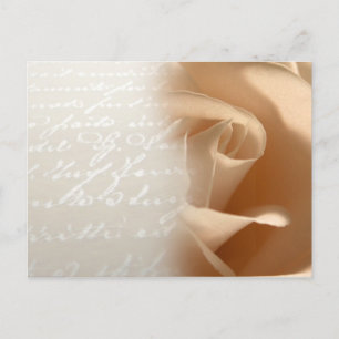 Crema Rosa Boda Personalizar postal
