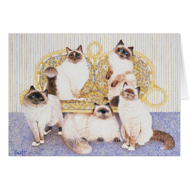 Cremas de chocolate (Anverso (Horizontal))