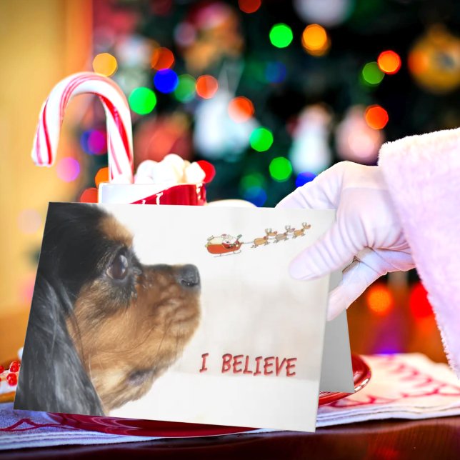 Creo en la Navidad con Cavalier King Charles (Subido por el creador)