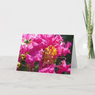 "Crepe Myrtle 1." Tarjeta de felicitación