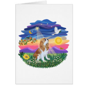 Crepúsculo - Blenheim Cavalier (F)