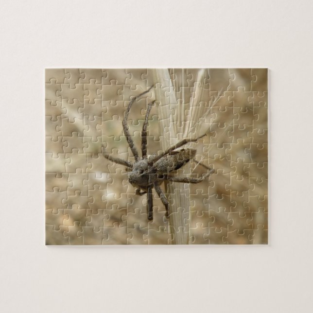 Crepúsculo rompecabezas de araña (Horizontal)