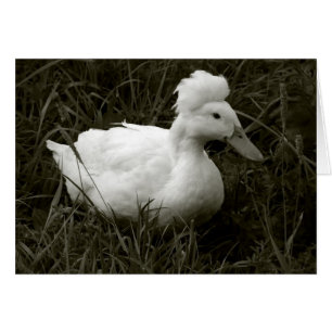 Crestie en blanco y negro