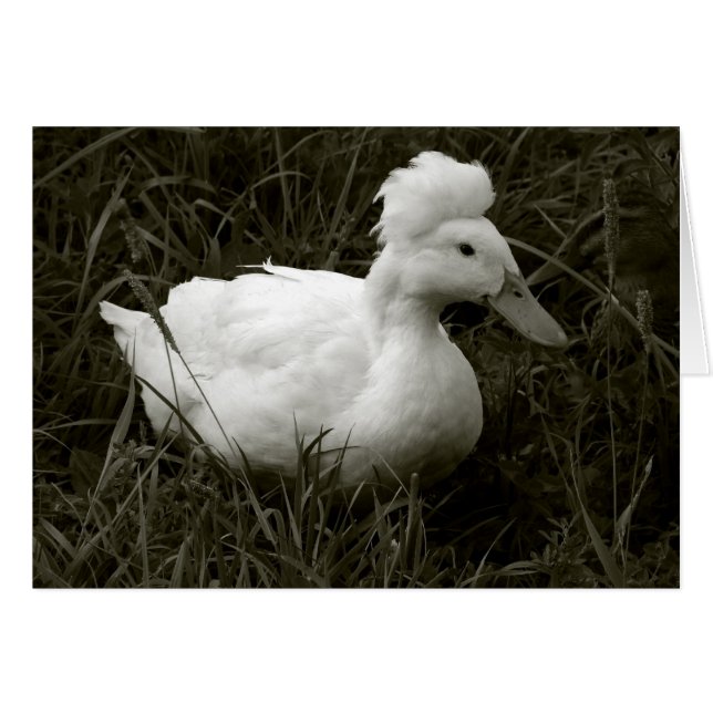 Crestie en blanco y negro (Anverso (Horizontal))